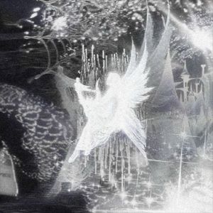 Meet your Posher, Von